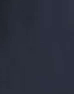 Dark Navy Color Suit