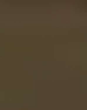 Mississippi Mud Full Shirt