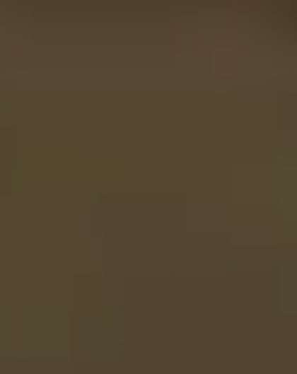 Mississippi Mud Full Shirt