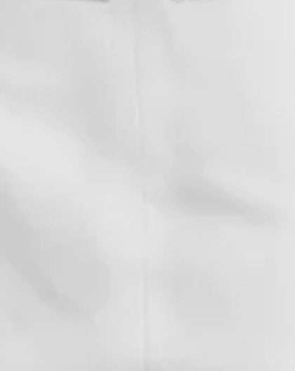 LIght Silver Color Suit